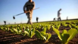 قبض ۴۰۰ میلیونی برای چاه کشاورزی