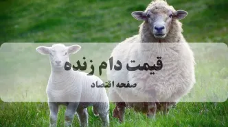 آخرین قیمت دام زنده امروز ۲۳ مرداد / گوسفند کیلویی چقدر شد؟
