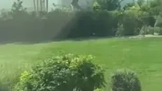 ۳ کشته و ۲ زخمی در تیراندازی در ایالت آیداهوی آمریکا