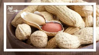 پیوند مدفوع؛ راهکار جدید برای درمان آلرژی به بادام زمینی