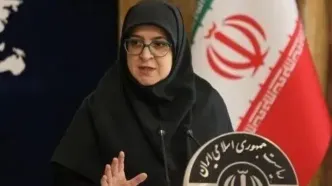 قول سخنگوی دولت برای پیگیری مسئله جابه‌جایی اموال هنرهای ملی