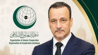 دبیرکل جدید سازمان همکاری اسلامی کیست؟