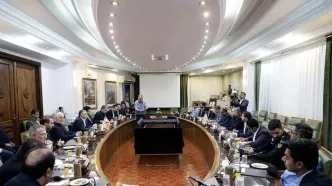 وزیر نفت با وزیر کشور پاکستان دیدار  کرد