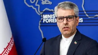 بقایی: اقدام فرانسوی ها قابل توجیه نیست