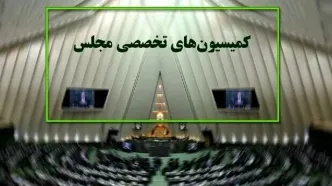 بررسی ساماندهی نیروهای شرکتی در مجلس
