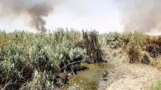 هورالعظیم میان آتش و کم‌آبی/ تنها ۴۰ درصد تالاب هورالعظیم آب دارد