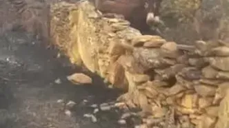 دیدار دوباره زن کشاورز با الاغ‌هایش پس از نجات از آتش‌سوزی