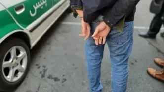 دستگیری شبانه عامل تهدید با چاقو در داروخانه ایوانکی
