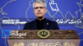 بقائی: برنامه‌ای برای سفر به قطر و پاکستان نداریم