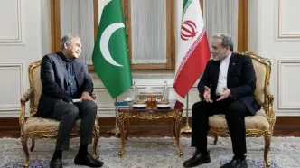 وزیر کشور پاکستان با عراقچی وزیر امور خارجه ایران دیدار کرد