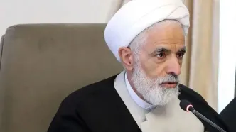 انصاری: برخی هم لباس من به مذاکره کنندگان تهمت می‌زنند