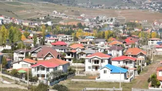 تصویر دردناک از جنگل‌خواری در کلاردشت مازندران