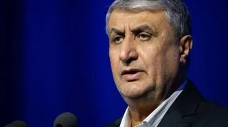 اسلامی: نخستین هدف حملات آمریکا و اسرائیل، کارخانه تولید سوخت صفحه‌ای در اصفهان بود