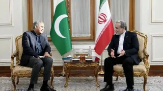 دیدار وزیر کشور پاکستان با وزیر امور خارجه