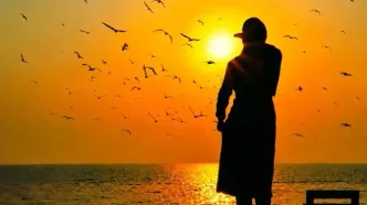 تصاویر؛ غروب تماشایی بوشهر در آغوش خلیج فارس
