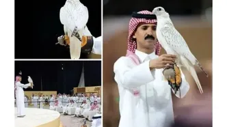 این پرنده با قیمت ۶۴ میلیارد تومان فروخته شد!
