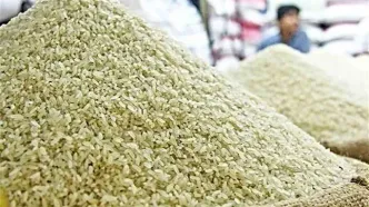 جدیدترین قیمت برنج هندی امروز ۲۲ مرداد