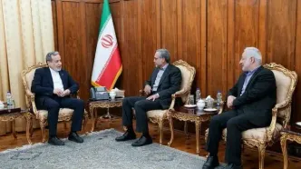 دیدار دو تن از نمایندگان مجلس شورای اسلامی با وزیر امور خارجه