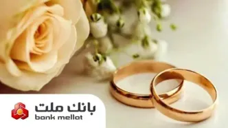 براساس گزارش بانک مرکزی؛ بانک ملت در رتبه نخست پرداخت تسهیلات ازدواج و فرزندآوری قرار گرفت