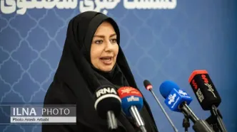 سخنگوی سازمان ثبت: اختلالات سامانه ثبت شرکت‌ها به‌زودی برطرف می‌شود