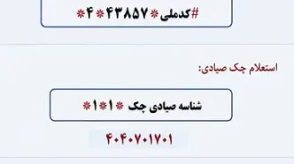 کدهای دستوری برای استعلام امور اقتصادی خانوار