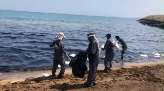 توضیحات معاون وزیر نفت درباره منشأ لکه‌های نفتی در خلیج فارس