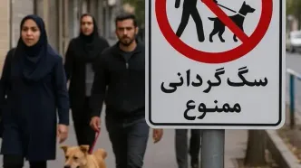 سگ‌گردانی در پارک‌های مشهد ممنوع شد