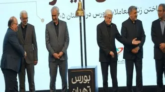 صلاحیت مدیرعامل جدید هلدینگ تأیید شد +سند