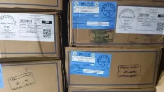 تکذیب شایعات؛ گوشت وارداتی از برزیل سالم است
