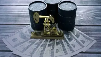 رسوب ۹۴ میلیارد یورو نزد تراستی‌ها «بسیار بو دارد» / احتمال تبانی و فساد گسترده در کار است