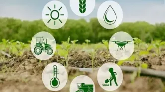 با وجود قطع مسیرهای جنوبی، امنیت غذایی ایران تهدید نمی شود