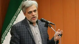 هشدار محمد مهاجری نسبت به تصویب طرح مقابله با نفوذ مجلس / چنین طرح‌هایی تنها منجر به نارضایتی عمومی می‌شود
