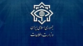 هشدار وزارت اطلاعات به فرانسه: از مداخله در امور ایران خودداری کنید