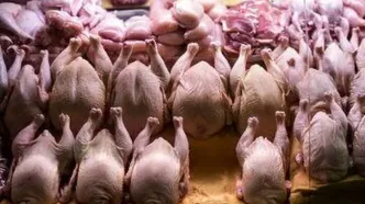محموله ۲۰ میلیاردی مرغ‌های قاچاق در تهران کشف شد