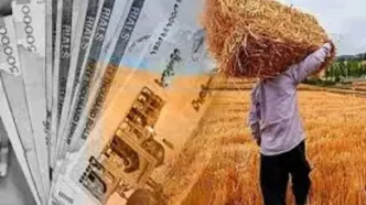 ۱۸۰ همت بدهی به گندمکاران باقی ماند/  دولت باید خسارت دیرکرد بدهد