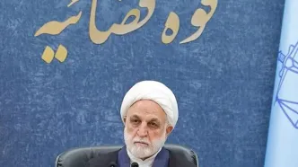 اژه‌ای: درباره اصلاح قیمت بنزین اختلاف‌نظر وجود دارد