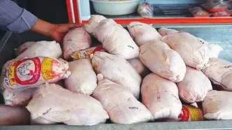 معدوم سازی ۲۰۰ کیلوگرم گوشت فاسد و تاریخ‌گذشته در نصیر شهر