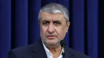 حملات آمریکا و اسرائیل به تاسیسات هسته‌ای به روایت رئیس سازمان انرژی اتمی/ محمد اسلامی: نخستین هدف، کارخانه تولید سوخت صفحه‌ای در اصفهان بود