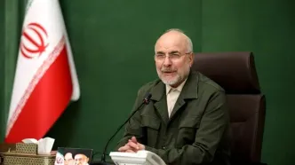 روایت قالیباف از بی‌اعتنایی کشورهای منطقه به اظهارات خصمانهٔ ترامپ: پیام‌های متعدد برای شکل‌دهی ترتیبات امنیتی و اقتصادی جدید دریافت کرده‌ایم