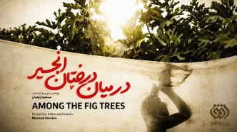 شبکه افق با «در میان درختان انجیر» به جاده نجف تا کربلا می‌رود