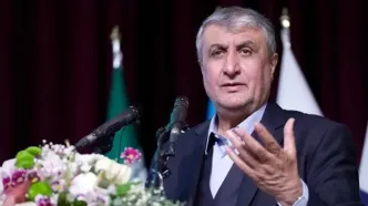پیام تبریک رئیس سازمان انرژی اتمی به مناسبت روز خبرنگار