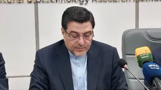 توسعه دیپلماسی کشاورزی با همسایگان و کشورهای آفریقا و شرق آسیا