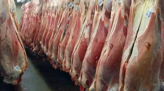 قیمت گوشت قرمز امروز شنبه ۱۷ مرداد ۱۴۰۵