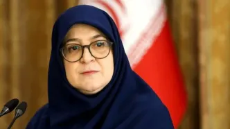 واکنش سخنگوی دولت به شوخی‌هایی که با او در فضای مجازی می‌شود