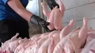 قیمت واقعی مرغ امروز چهارشنبه ۱۴ مرداد ۱۴۰۵