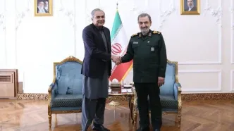 رایزنی محسن رضایی و وزیر کشور پاکستان/ در اولین دیدار دیپلماتیک دبیر شورای عالی امنیت ملی چه گذشت؟