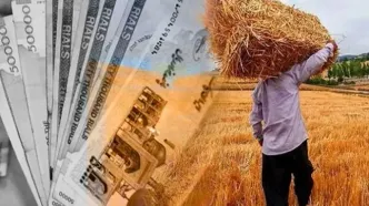 گندم‌کاران هنوز طلبکارند/  مطالبات پرداخت نشده تولید سال آینده را تهدید می‌کند