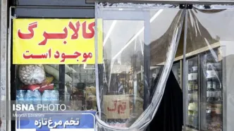 خبر مهم کالابرگی امروز پنجشنبه ۵ شهریور