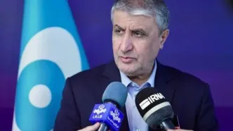 رییس سازمان انرژی اتمی ایران: هرگز متوقف نخواهیم شد