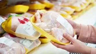 حذف مرغ‌های سنگین از سبد تولیدی مرغداری‌ها